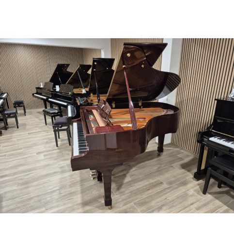 Wendl & Lung 178 Professional II (2006) - Occasion